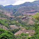 Die Berge auf der Fahrt nach Honduras, alles kahl.