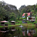 Der kleine Teich der Lodge.