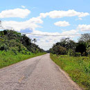 Die Landschaft auf der Fahrt vom Baboon Center nach Belize City.