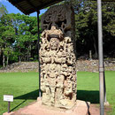 Copan ist berühmt für seine Stelen. Sie sind im wesentlichen ca. 1400 Jahre alt. AN keiner anderen Mayastätte haben wir so prachtvolle Stelen gesehen.