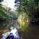 Wir beide lieben es, im Boot den Urwald entlang zu gleiten.