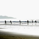 Dabei beobachten wir, wie Fischer ein großes Strandnetz einholen. Die eine Gruppe holt die rechte Seite des Netzes ein und die andere die linke.