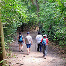 Traben durch den Urwald. Die freigelegten Gebäude liegen zum Teil sehr weit auseinander und dann geht es endlos durch den Urwald.
