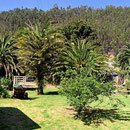 Unser Stellplatz auf der Finca San Pedro.