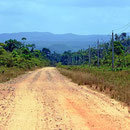 Schpne wildewr Belize-Landschaft.