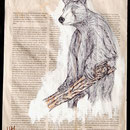 "Kallisto", 0,32 x 0,23m, Tippex, Kuli, Tackernadeln, roter Tee auf Zeitung, 2009