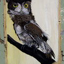 "Der menschliche Zeitbegriff II", Acryl auf Holz, 2007