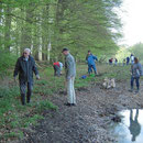Arbeitseinsatz am "Fledermauswald": Biotopgestaltung am Waldrand.