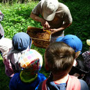 Imker Michael Schärf am Bienenkorb.