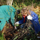 Pflanzung von heimischen Wildsträuchern am Waldrand - gedeckter Tisch für Vögel, Insekten und Fledermäuse.