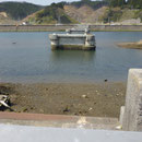 ３５１　気仙川姉歯橋の状況