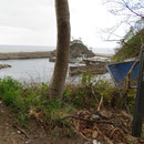 ２４７　白井海岸
