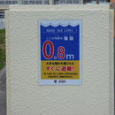 ０１８　長瀞小学校　海抜０．８ｍの津波襲来地に再建（元の学校の隣地）