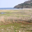 ００４８「住宅地域から沿岸部や農地を見る」