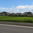 １４９２　新町の防集（久慈工業高校前、周囲は農地）