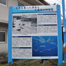 ０３７７　久慈を襲った津波と久慈湾港防波堤の説明