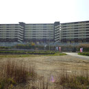 ３１６　中田の災害復興住宅