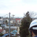 神社から見た野田村市街、大鳥居より海岸部は壊滅状態。