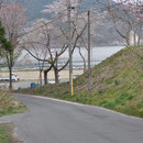 ０９０２　シーサイドかろ・はまなす学園から海洋センターへの避難路