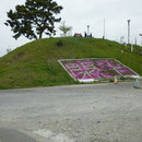 ５３３　閖上・日和山の状況