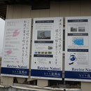 ２７６３　佐々直本社に掲示された「なとり復興桜」