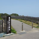 １３８３　豊間防災緑地（右は県道、遠くに塩屋崎灯台）
