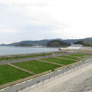 ６３６　「海を望む場」から気仙川河口水門方向