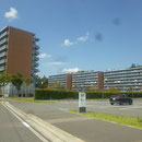 ４３８　県営栃ヶ沢アパート（コミュニティホール前）