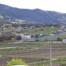５７５　キャピタルホテルから見た山側の住宅