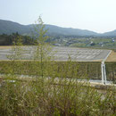 ３２４　岩手国体ビーチバレー会場（駐車場）
