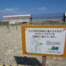 ３３０３　久ノ浜地区　防災緑地工事