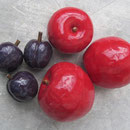 Pflaumen und Äpfel aus neuer Ernte