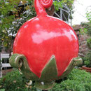 Rote Frucht