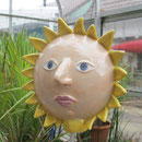 neue Sonnenblümchen sind erblüht!