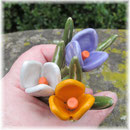 Krokusse