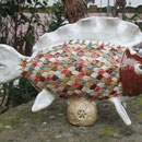 Buntbarsch 6 (neu)