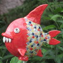 Neuer roter Schnappfisch