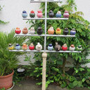 Vogelbaum
