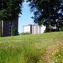 Immeubles d'un quartier populaire d'Ardler au nord ouest de Dundee