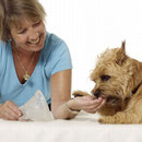mhhh, echt toll so ein fotoshooting...leckerli´s ohne ende;-)