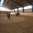 und des Voltigiertrainings