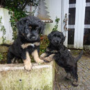 Arik und Anjo
