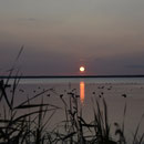 2018_08_21 - Röbel an der Müritz - Sonnenaufgang