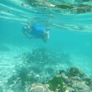2017_03_ Insel Praslin, Schnorcheln ist toll