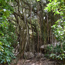 2017_03_29 Insel Aride 