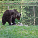 2018_08_24 Müritz - Bärenwald 