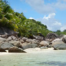2017_03_ Insel Praslin, Strand