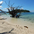 2017_03_ Insel Praslin, unser Hotel - Blick am Strand links
