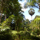 2017_03_20 Insel Mahé, Victoria, Botanischer Garten