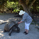 2017_03_23 Insel Curieuse - Aladabra Riesenschildkröte
